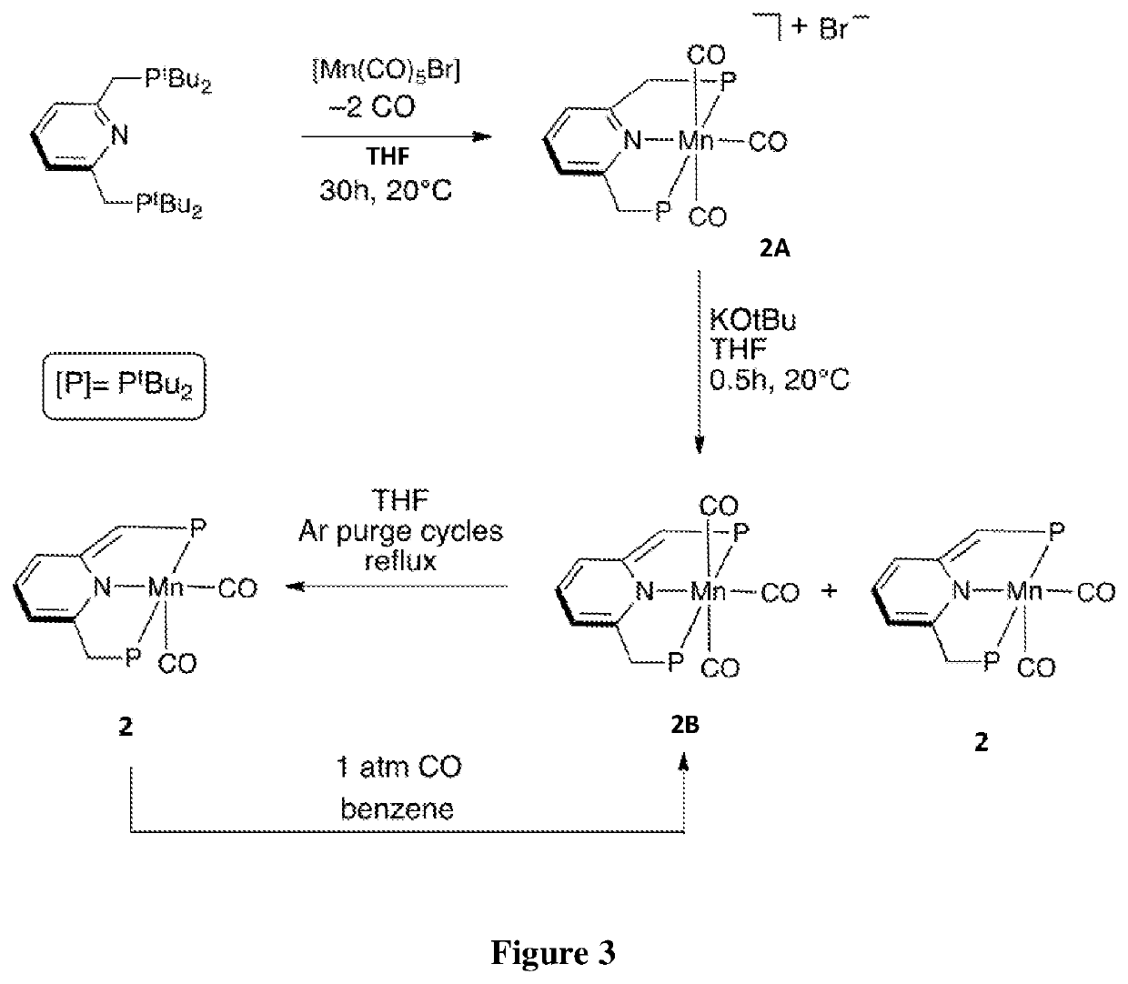 Manganese based complexes and uses thereof for homogeneous catalysis