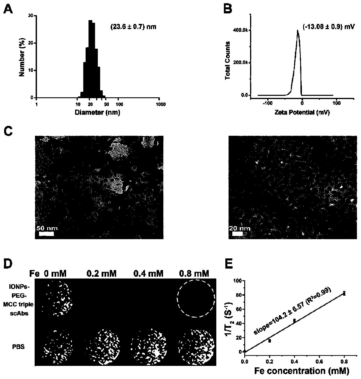 Iron oxide nanoparticle compound and preparation method and application thereof