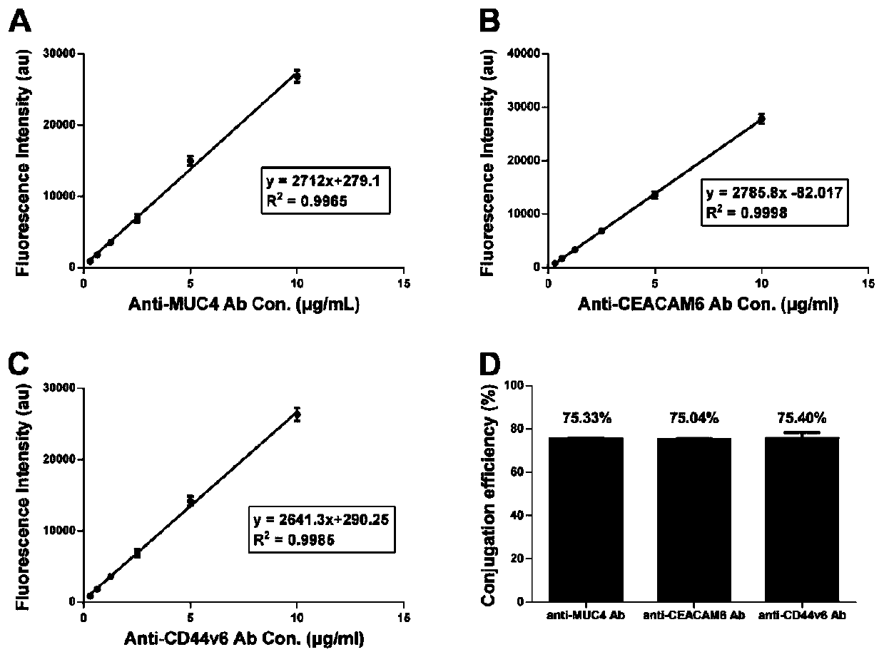 Iron oxide nanoparticle compound and preparation method and application thereof