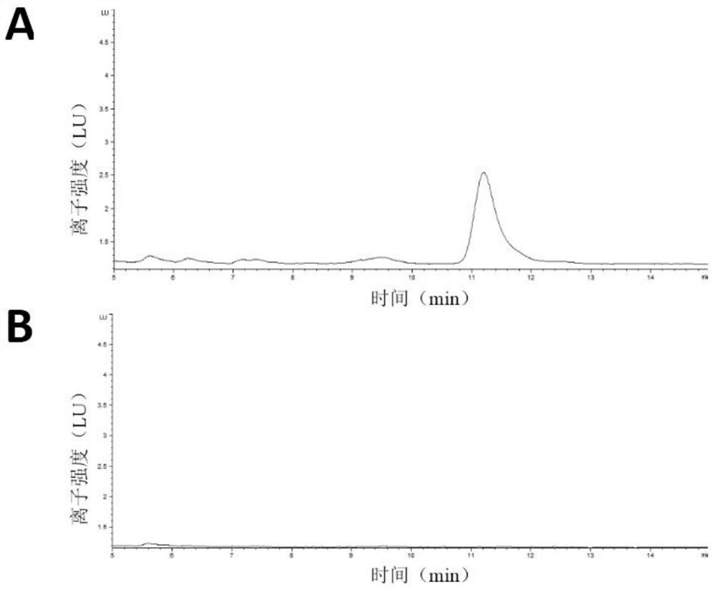 Amine oxidase NDAO, preparation method and application