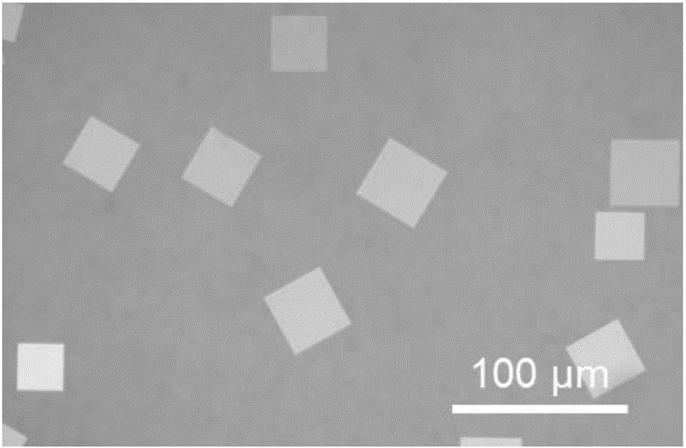 High-mobility-ratio lamellar Bi2O2Se semiconductor film and preparation method thereof