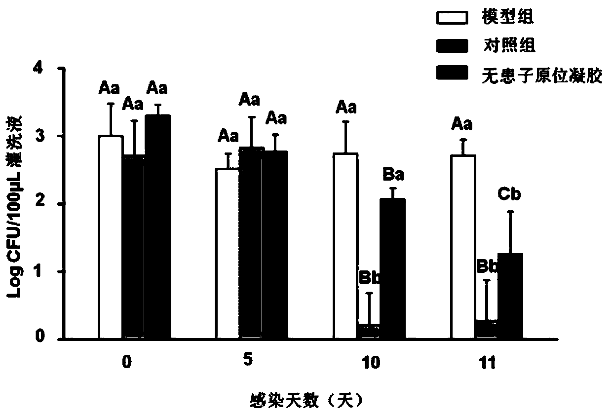 Soapberry in-situ gel preparation for treating candida albicans vaginitis and preparing method thereof