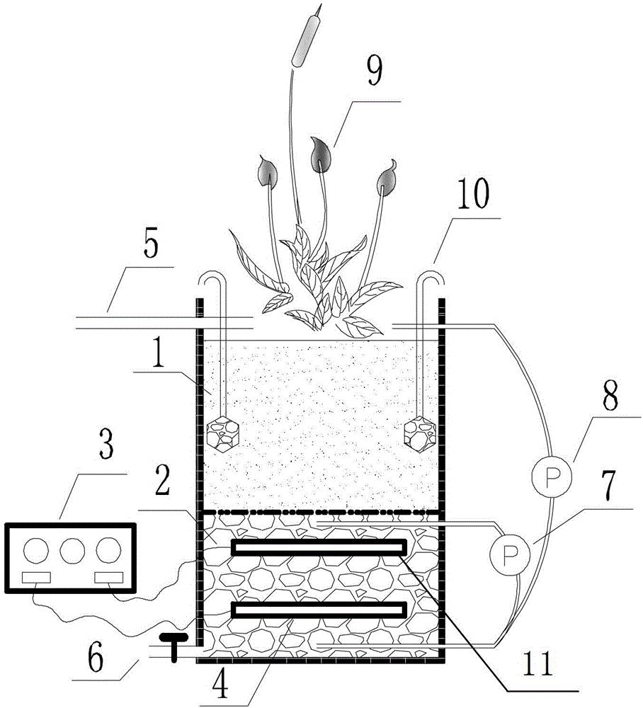 Tidal current wetland coupled electrochemical reinforced denitrification and dephosphorization method and system