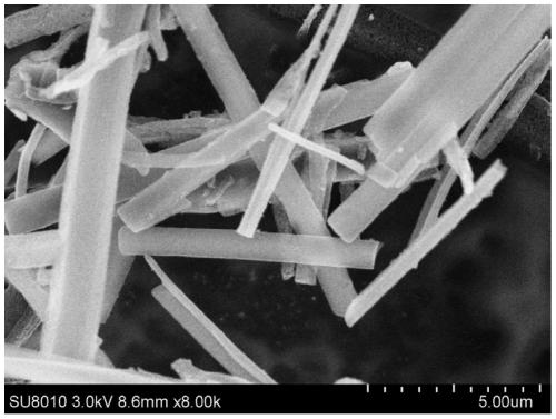 Preparation method and application of carbon-based Janus membrane