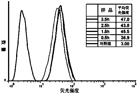 Quinazoline fluorescent probe as well as preparation method and application thereof