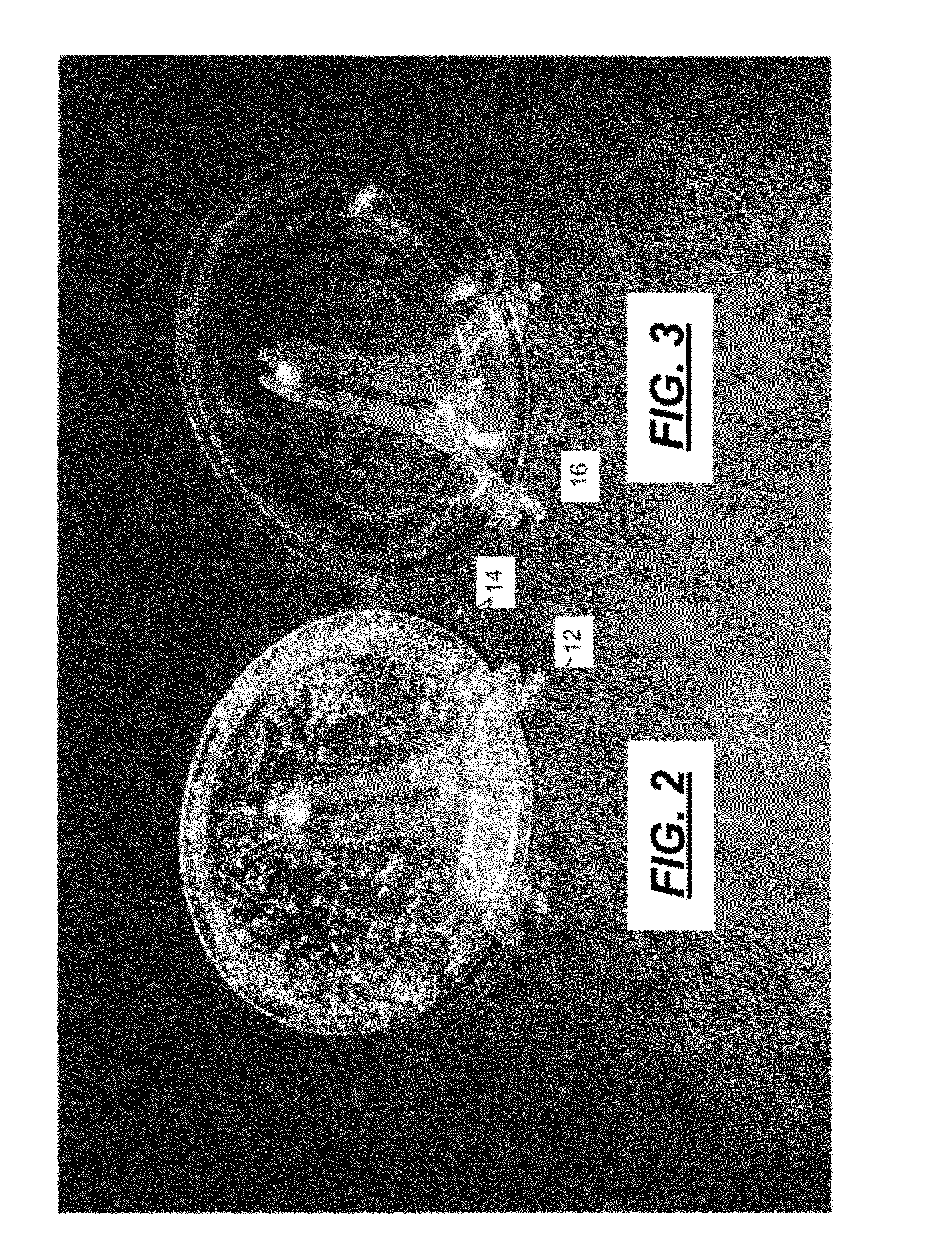 Pretreatment composition and method