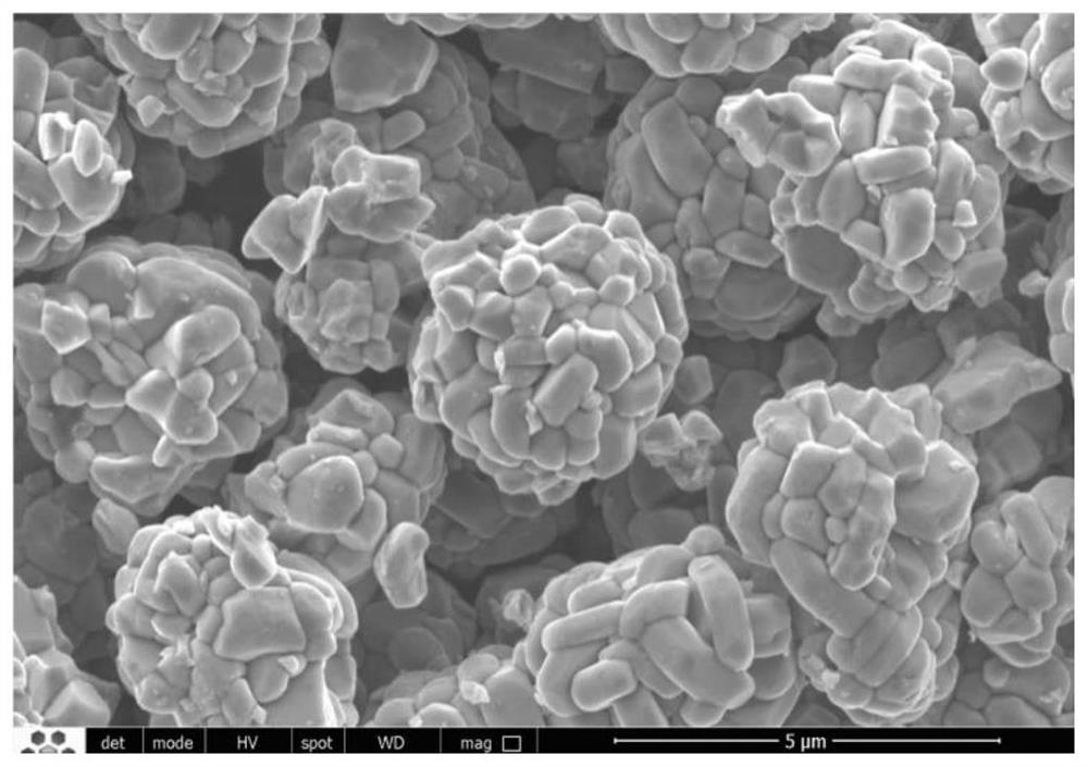 Method for one-step low-temperature preparation of large-particle-size single-crystal ternary positive electrode material