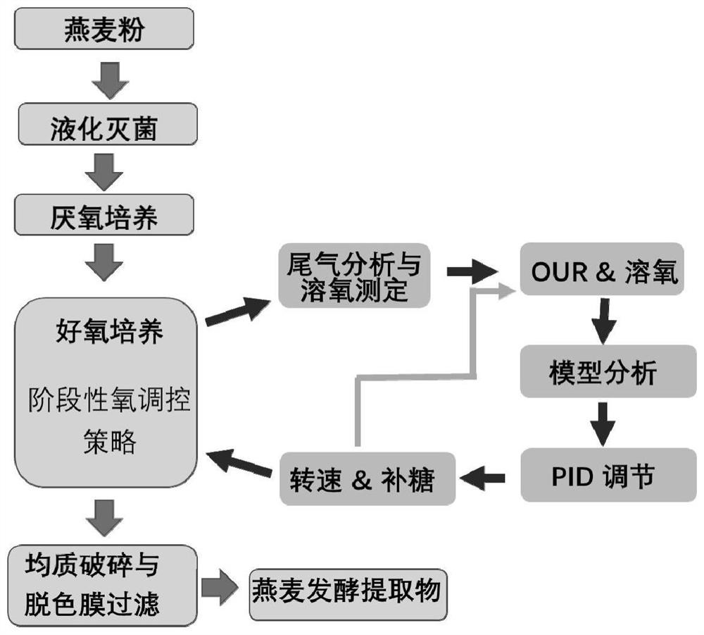 Accurate control method for preparation process of oat fermentation extract
