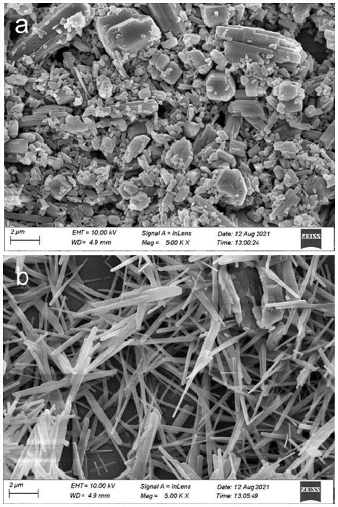 Calcium sulfate reinforced in-situ curing pore-forming tissue engineering polyester composite scaffold material as well as preparation method and application thereof