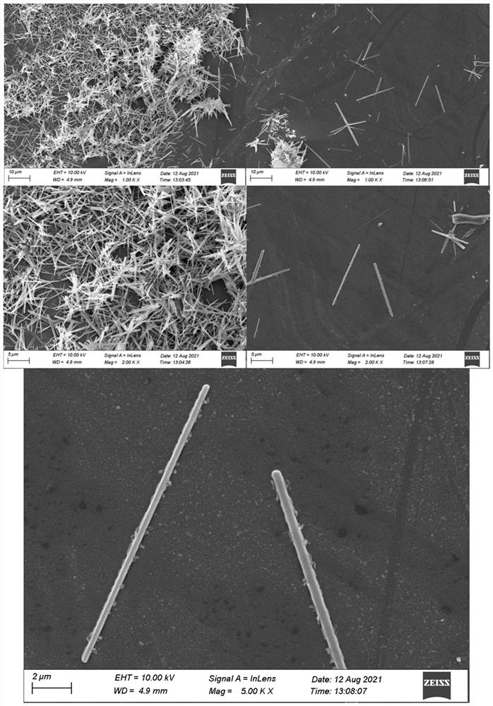 Calcium sulfate reinforced in-situ curing pore-forming tissue engineering polyester composite scaffold material as well as preparation method and application thereof