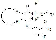 Phthalazinone derivative prodrug or pharmaceutically acceptable salt thereof and pharmaceutical composition and application thereof