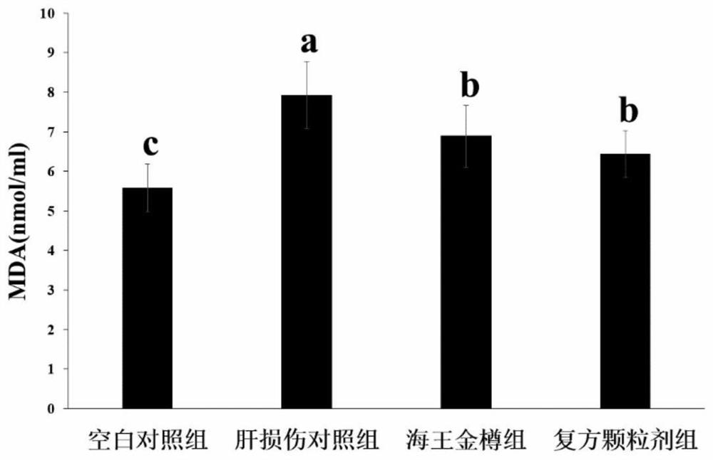 A kind of compound granule with anti-alcoholic and liver-protecting function and preparation method thereof