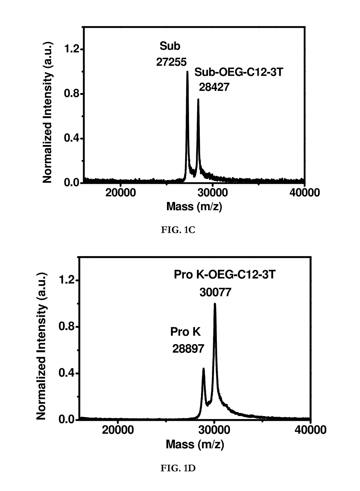 Hydrophobin mimics: process for preparation thereof