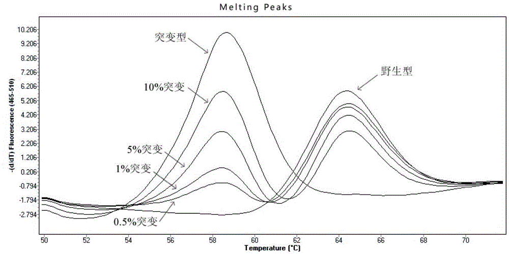 Method for accurately detecting KRAS gene mutation by use of probe melting technology