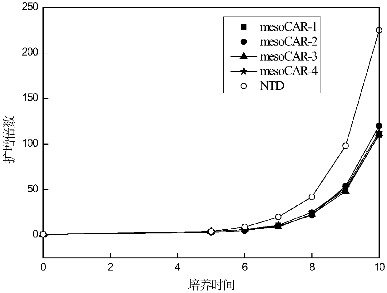 Chimeric antigen receptor DAP12-T2A-CD8alpha-MSLN scFv-TREM1 and application thereof