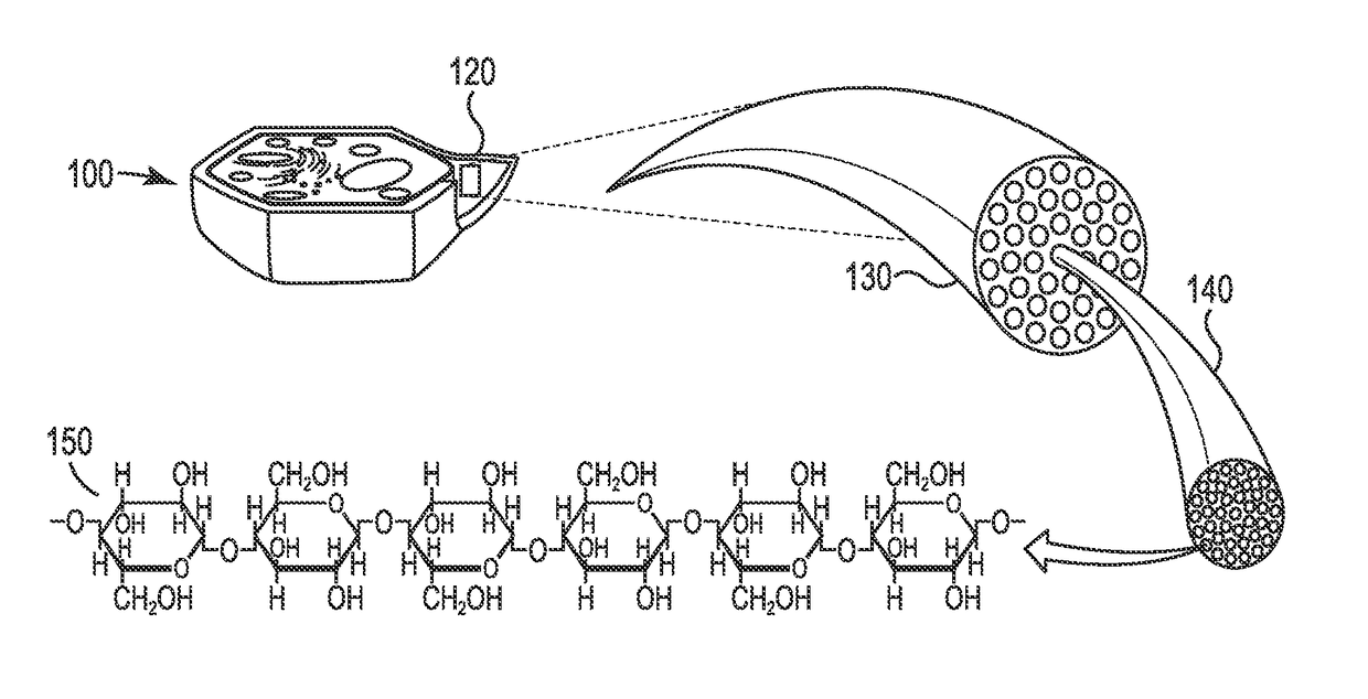 System and process for combusting coal and beneficiated organic-carbon-containing feedstock