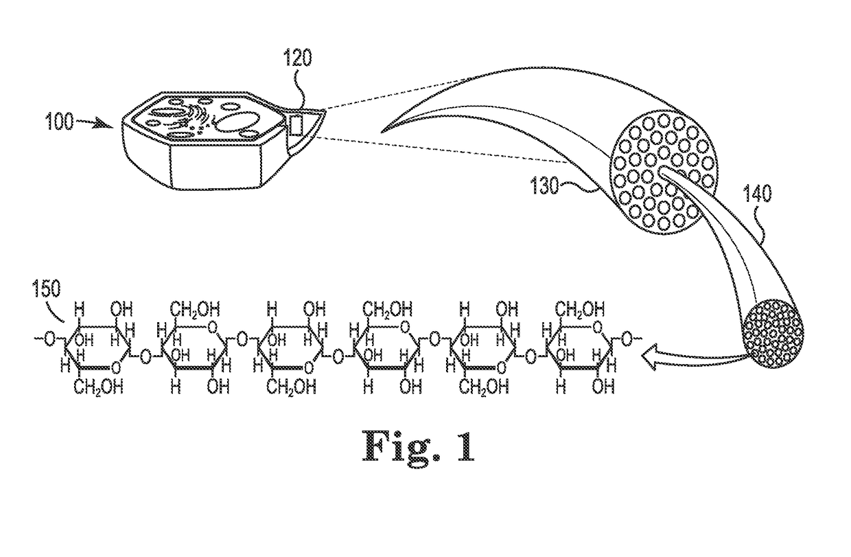 System and process for combusting coal and beneficiated organic-carbon-containing feedstock