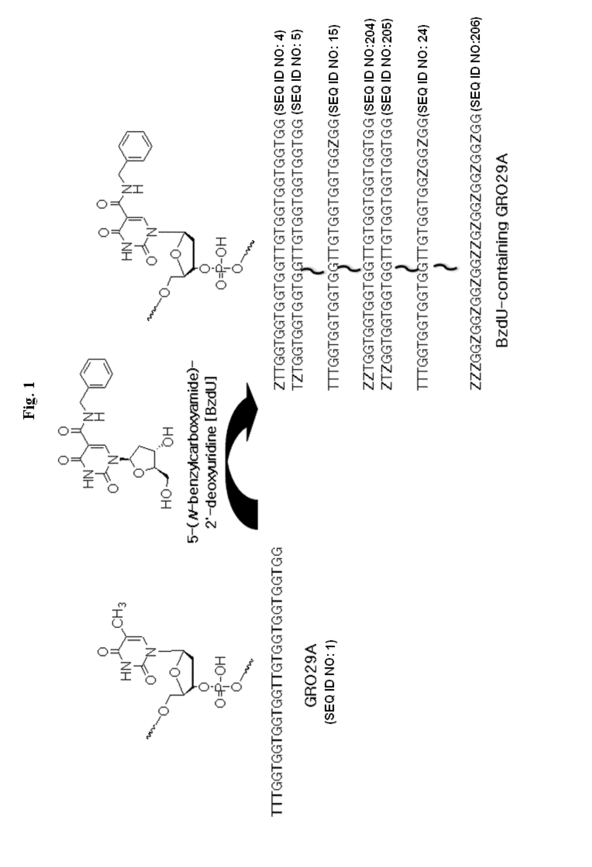 Method of diagnosing cancer using a nucleolin specific aptamer