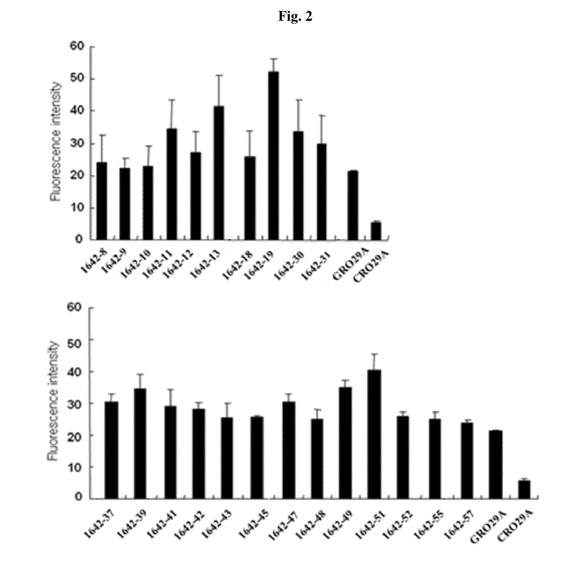 Method of diagnosing cancer using a nucleolin specific aptamer