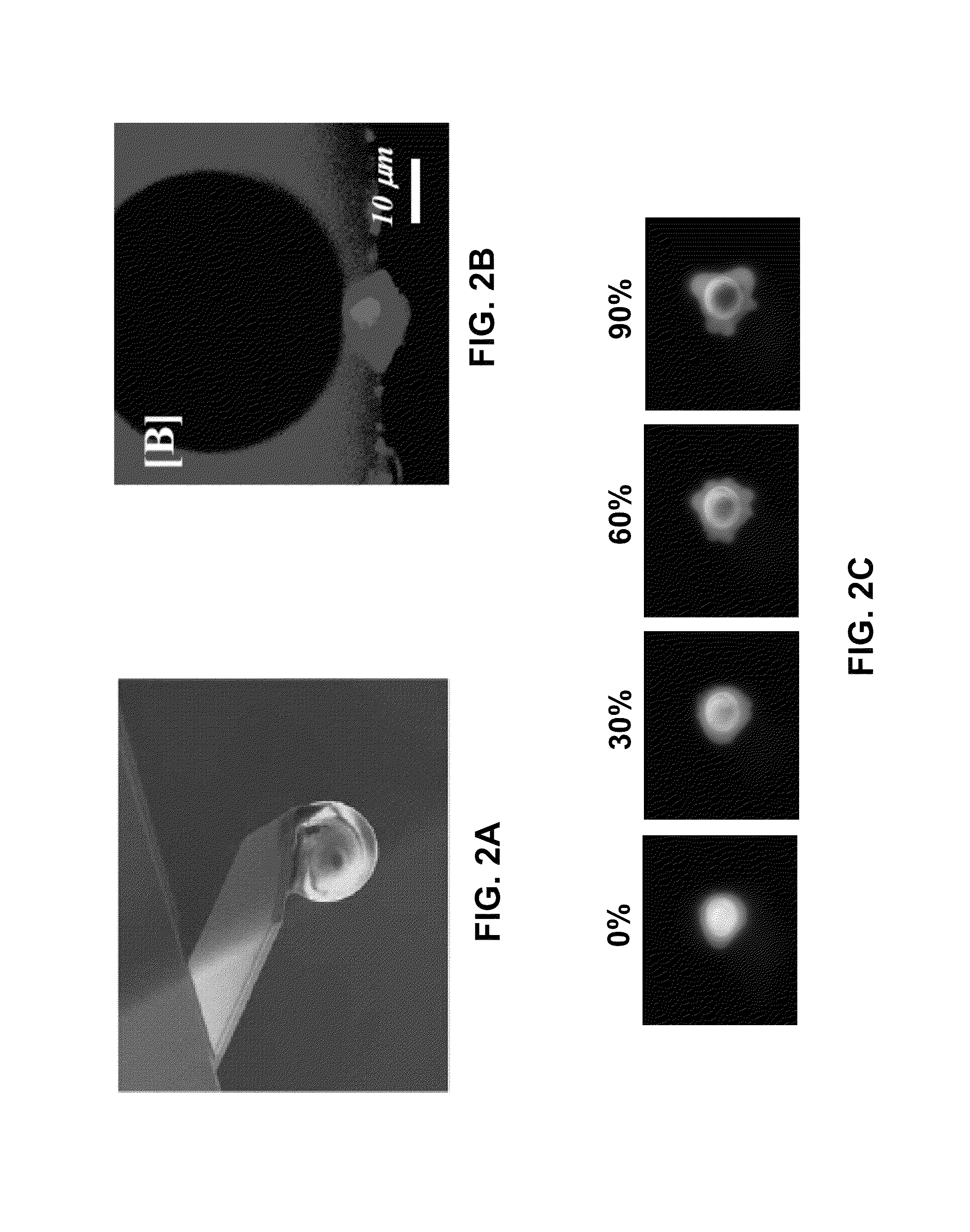 Method and system for measuring single cell mechanics using a modified scanning probe microscope