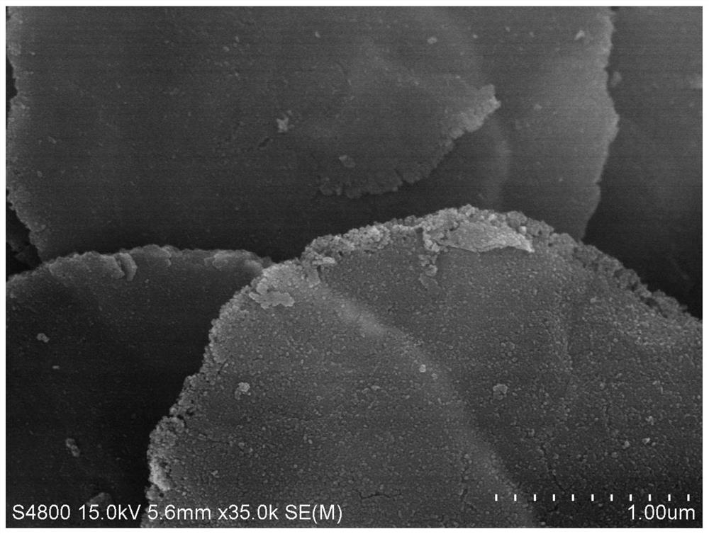 A method for preparing single-layer porous cobalt oxyhydroxide nanosheets by electrochemical oxidation