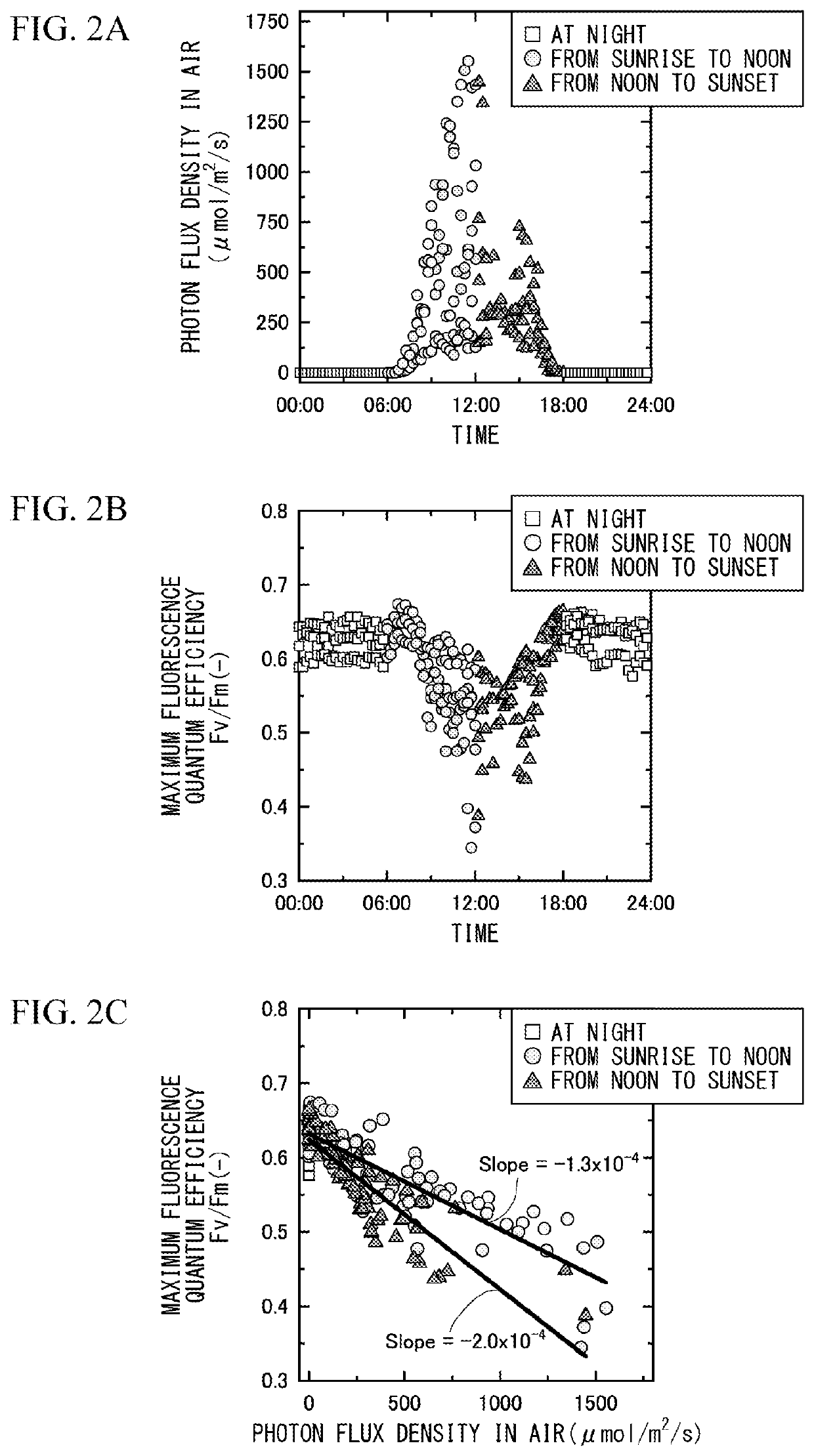 Device for detecting contamination with photosynthesis inhibitor and method for detecting contamination with photosynthesis inhibitor