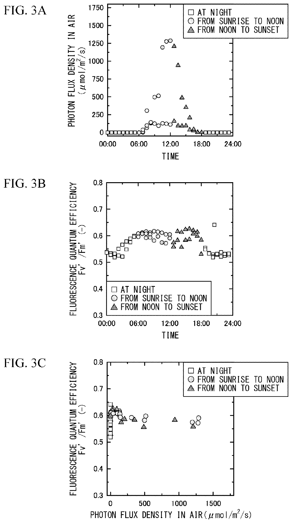 Device for detecting contamination with photosynthesis inhibitor and method for detecting contamination with photosynthesis inhibitor