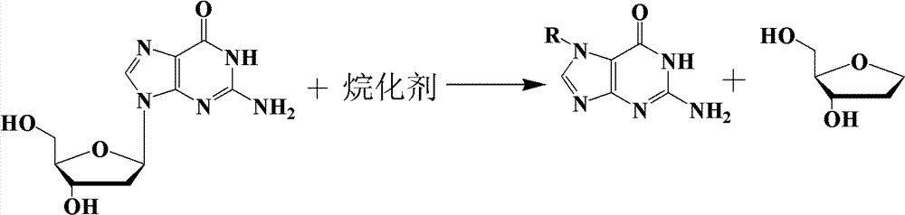 Method for preparing N7-guanine alkylate