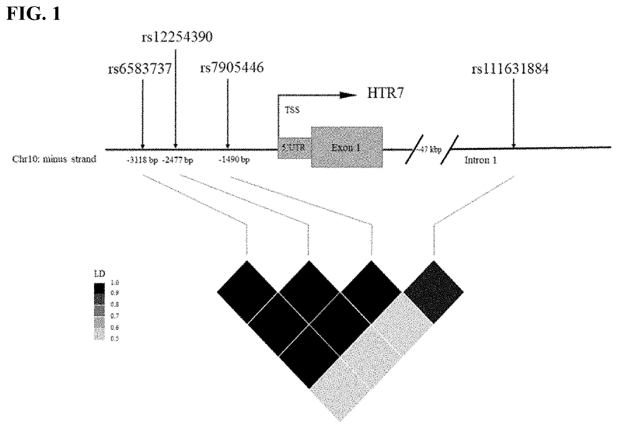 Method to Predict Response to Neuropsychiatric Drugs Using Variation in the Serotonin 7 Receptor (HTR7) Gene