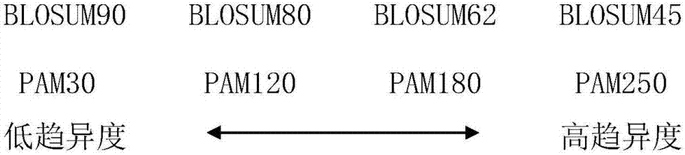 Method for predicting secondary structure of protein based on multiple evolution matrices