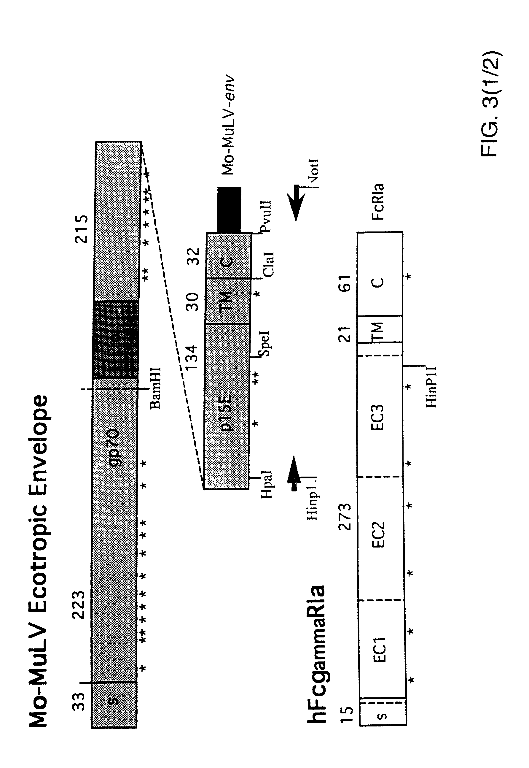 Methods and means for targeted gene delivery