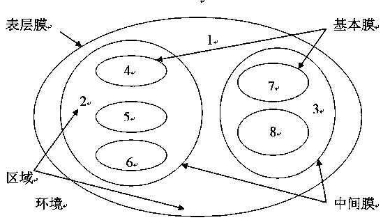 Membrane computing-based search method