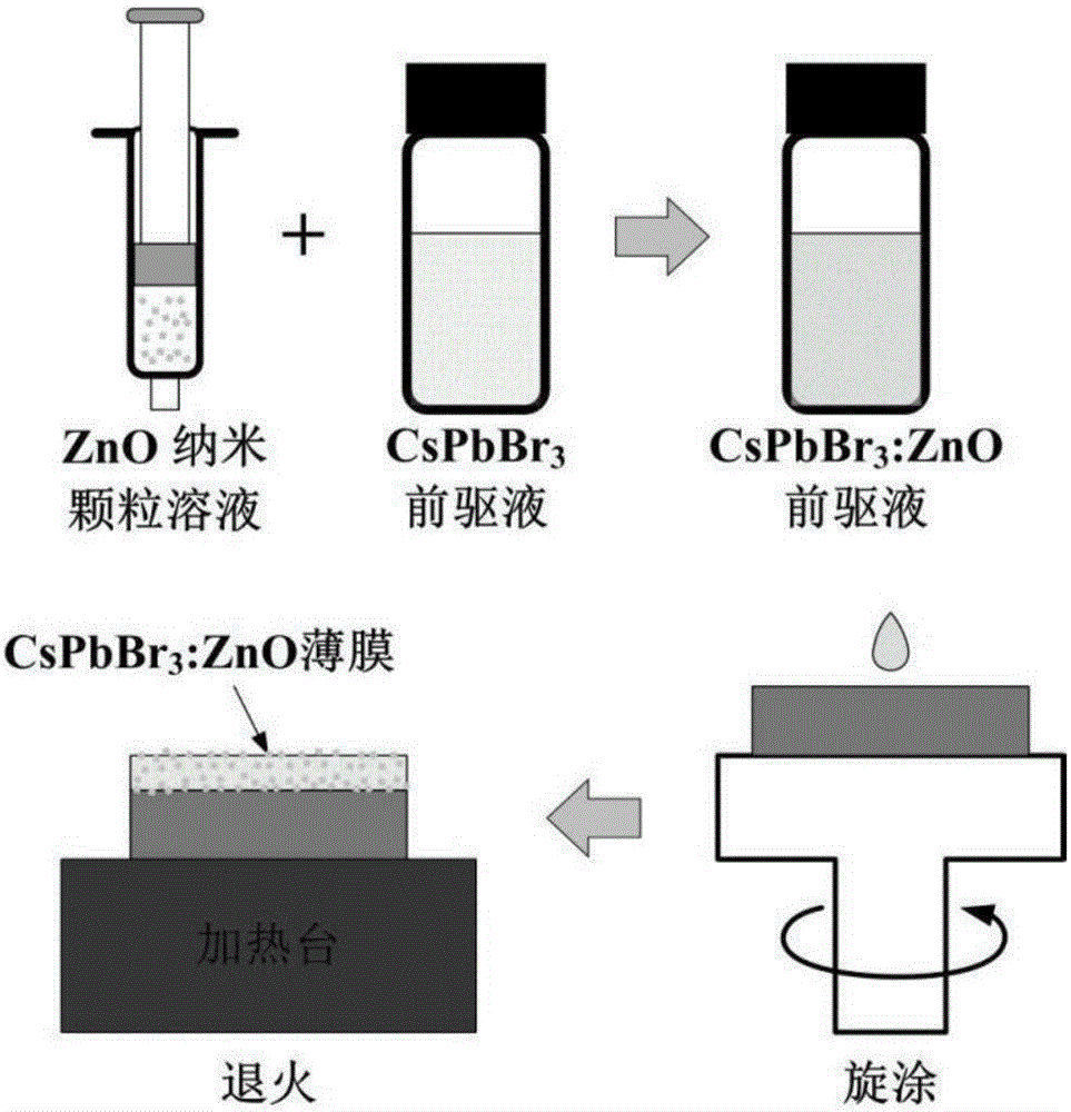 Perovskite CsPbBr3 thin film modified by zinc oxide nanoparticles and application of perovskite CsPbBr3 thin film