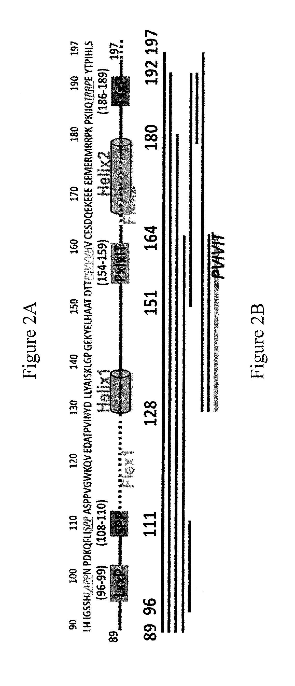 Method and compositions for treatment of calcineurin-related diseases