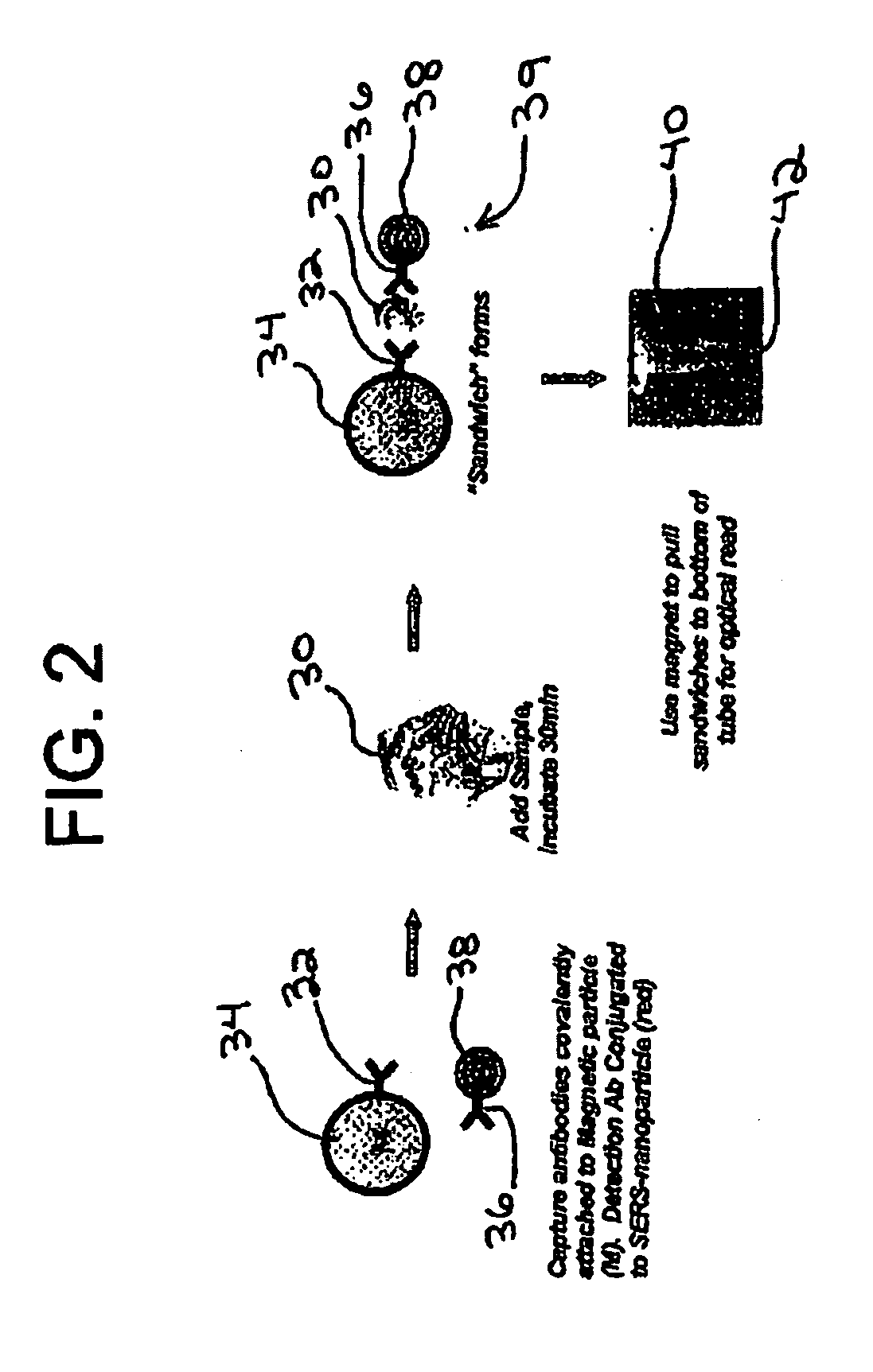 Methods of controlling the sensitivity and dynamic range of a homogeneous assay