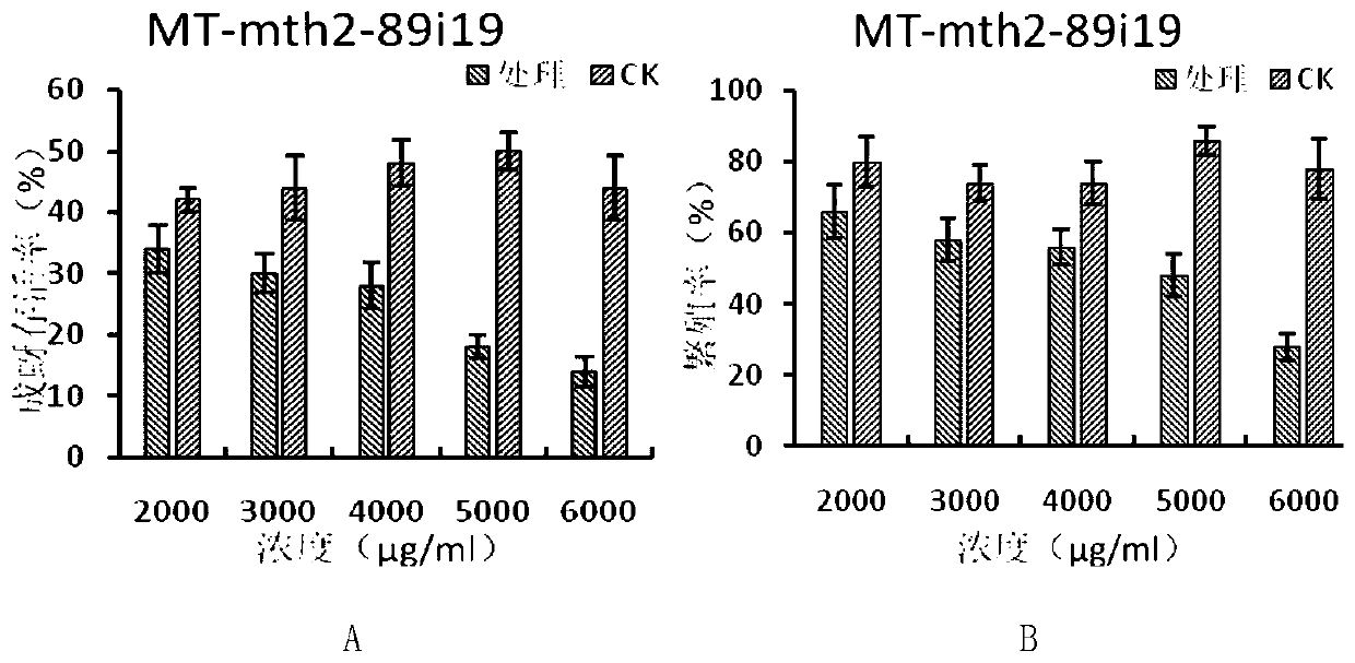 A kind of alfalfa trypsin inhibitor mt-mth2-89i19 and its coding gene and application