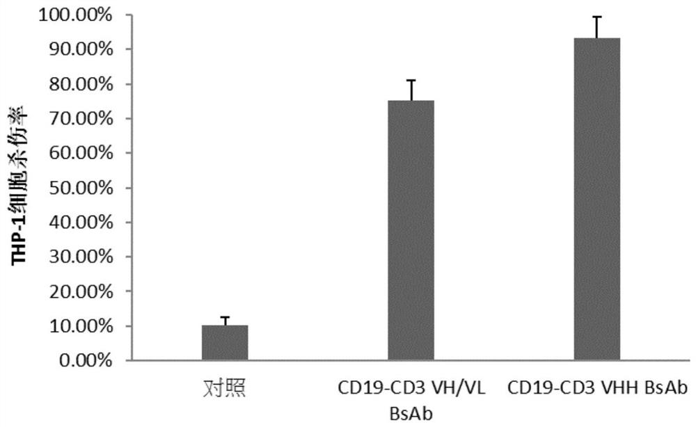 Bispecific antibody and application thereof in cancer treatment