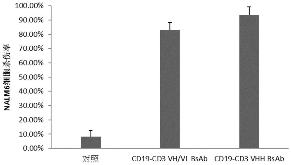 Bispecific antibody and application thereof in cancer treatment