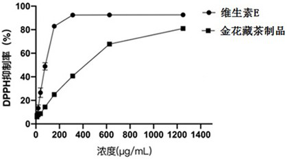 Eurotium cristatum Tibetan tea product