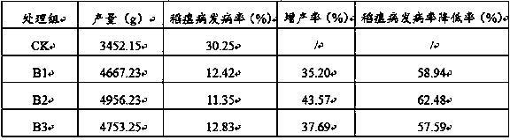 Special foliar microbial bacterium fertilizer for paddy rice, and preparation method thereof