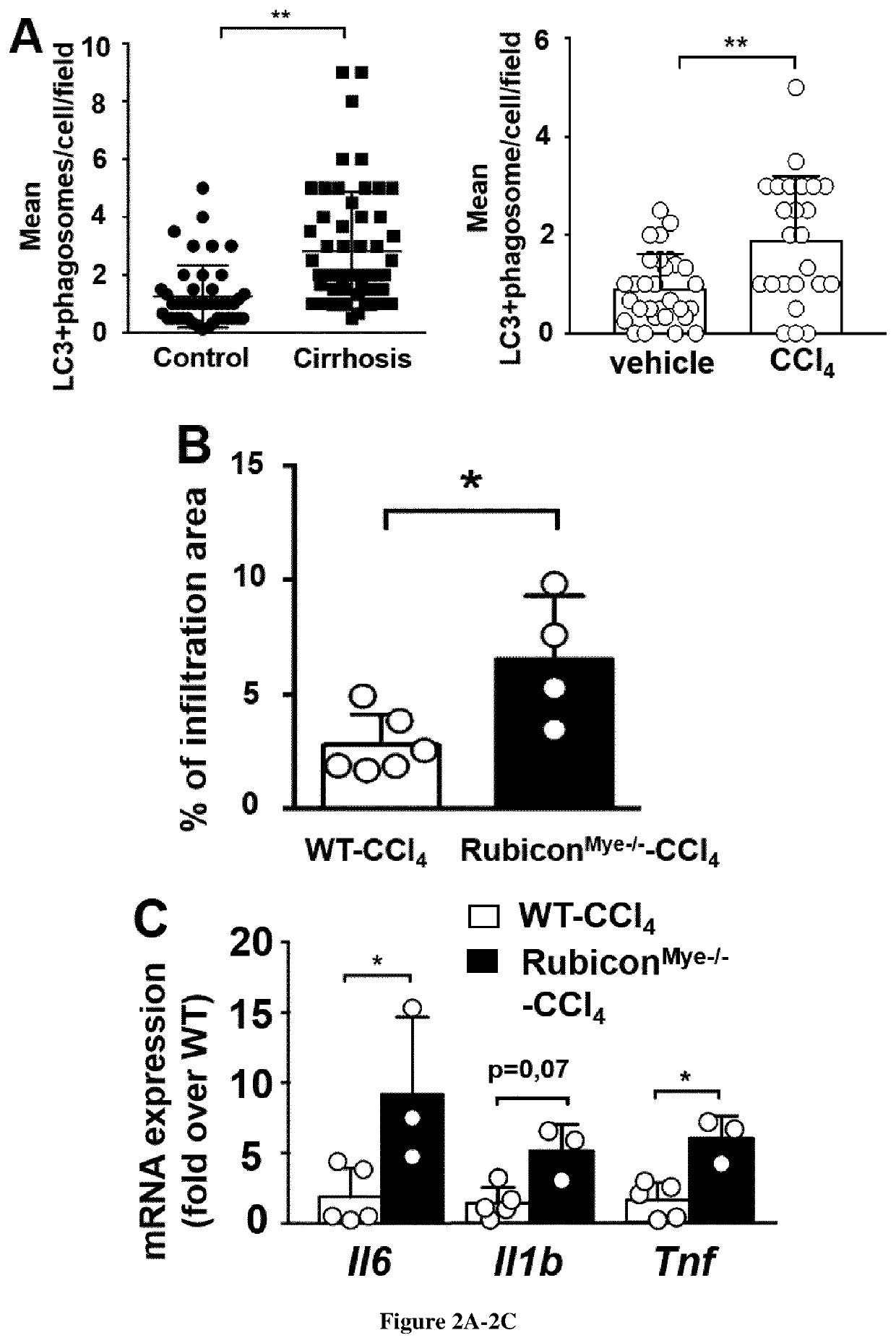 Use of agents capable of inducing lc3-associated phagocytosis for treating sustained inflammation in patients suffering from chronic liver disease