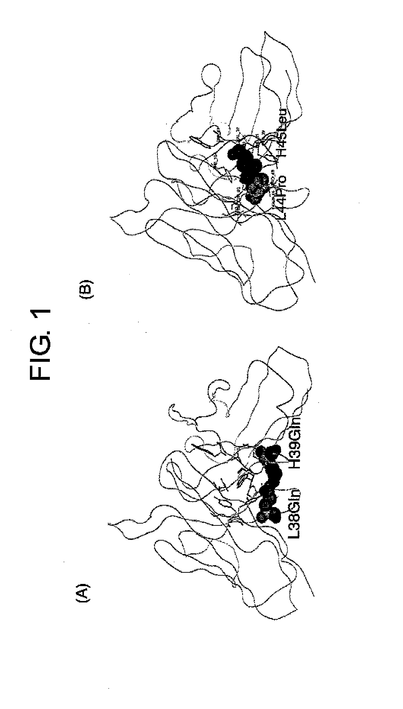 Methods for Producing Polypeptides by Regulating Polypeptide Association