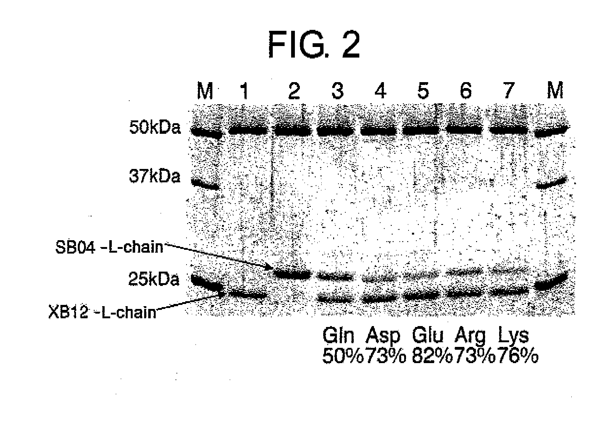 Methods for Producing Polypeptides by Regulating Polypeptide Association
