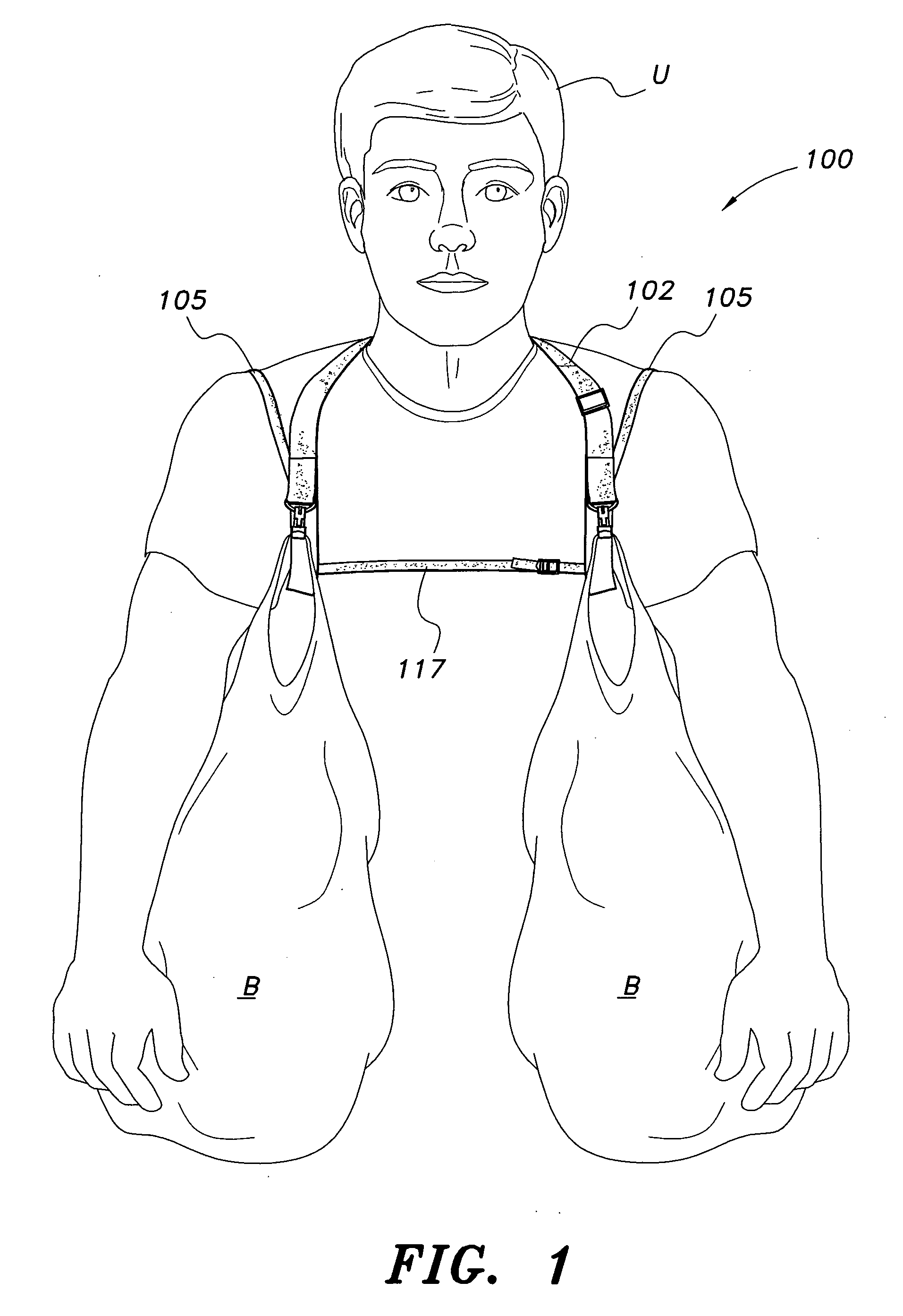 Bag carrying harness