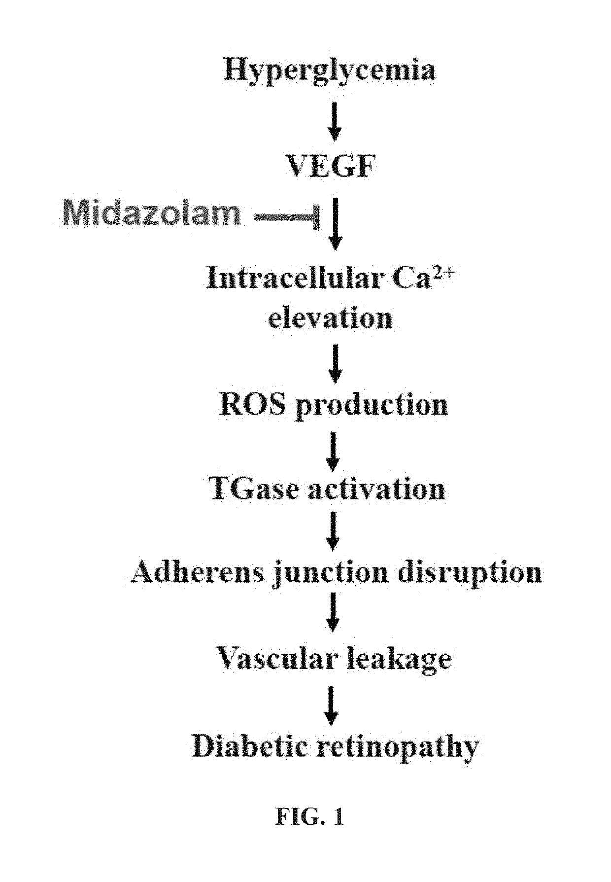 Method for prevention or treatment of diabetic complications