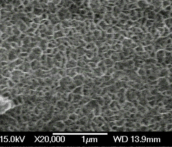 Method for preparing multi-component composite oxide catalyst for denitration by metal plate