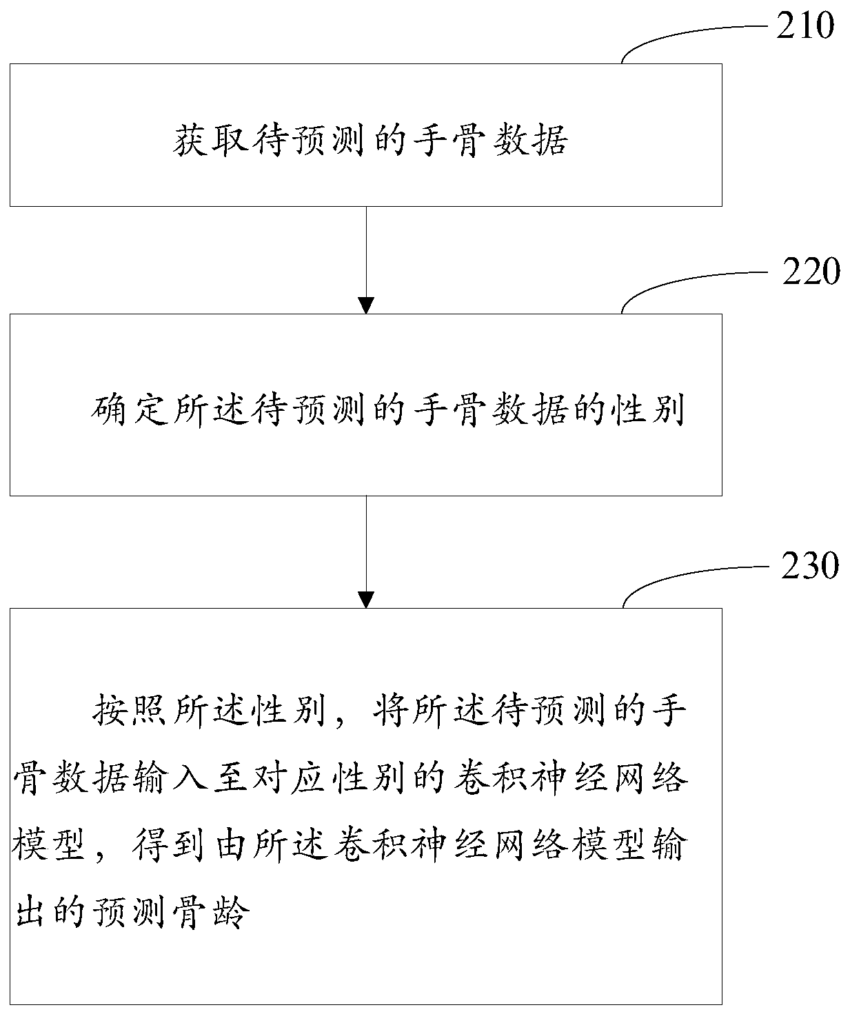 Bone age prediction method and device, medium and electronic equipment