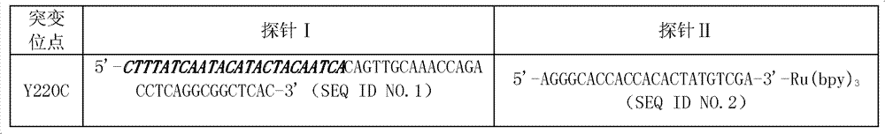 Point mutation gene detection method and kit thereof