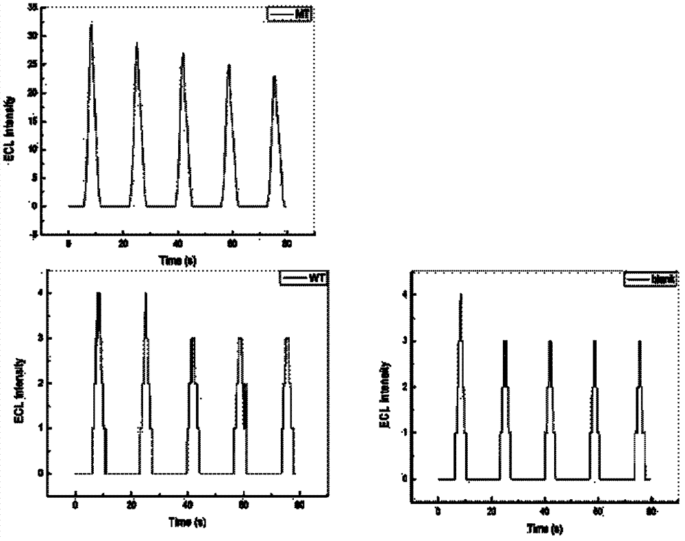 Point mutation gene detection method and kit thereof