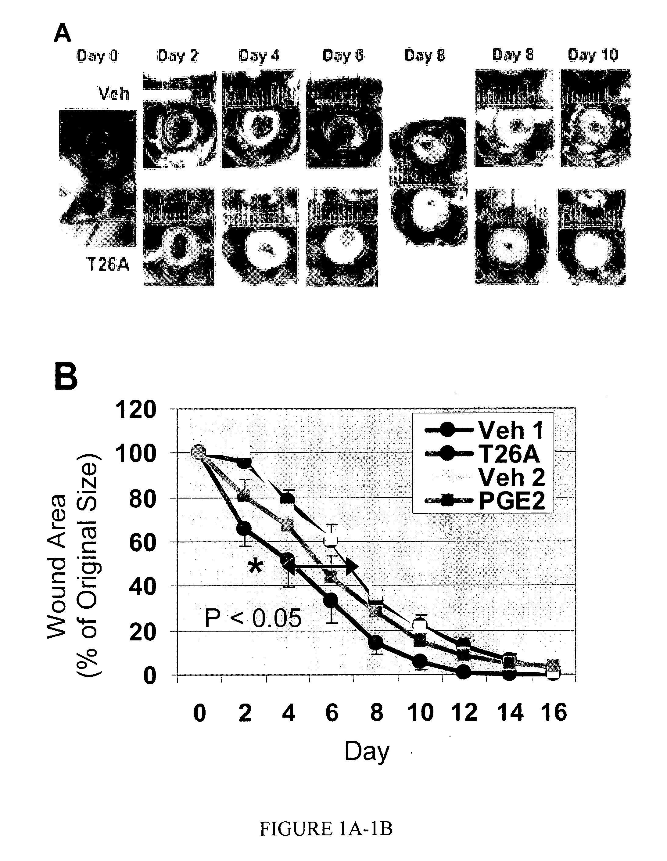 Prostaglandin transporter inhibitors and uses thereof